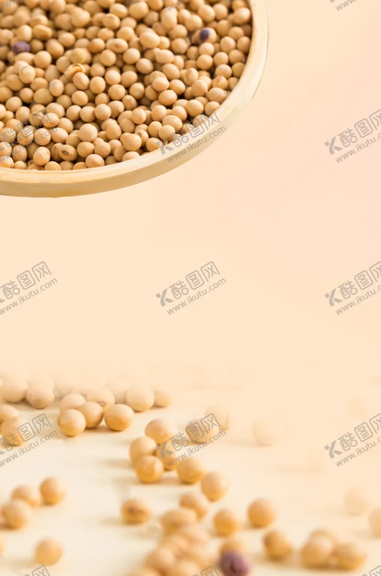 编号：37553706270654245060【酷图网】源文件下载-五谷杂粮海报谷物豆豆素材