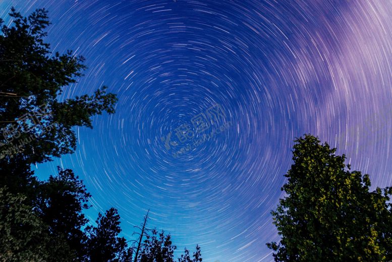 编号：93787406271356005699【酷图网】源文件下载-星空下的树木