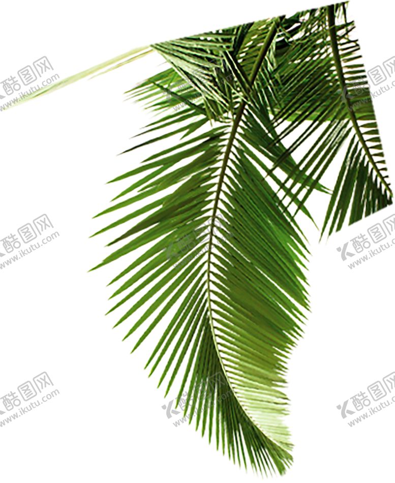 编号：24003510020153525941【酷图网】源文件下载-绿色相框