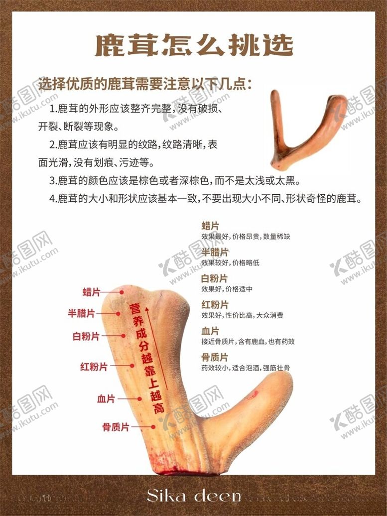 编号：73592303012032312878【酷图网】源文件下载-梅花鹿怎么挑选知识展板
