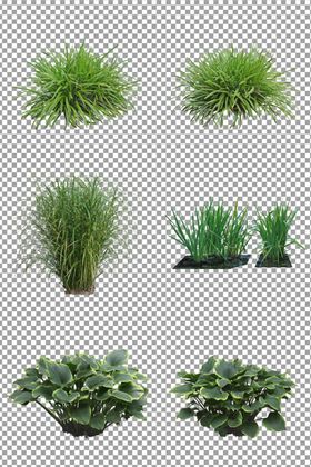 清新花草商务名片