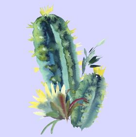 植物水彩画