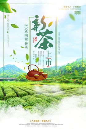 新茶上市宣传