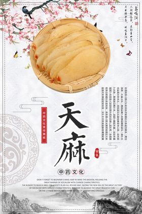 中医药中国风文化展板