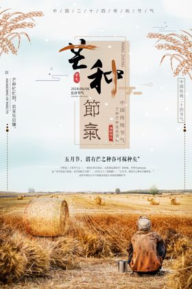 芒种企业地产祝福问候简约全屏海报