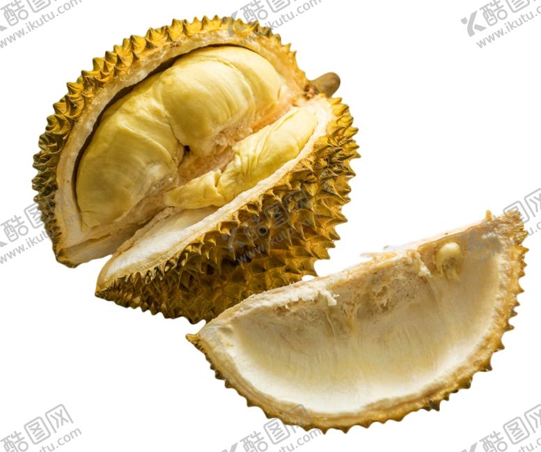 编号：51639109161315312049【酷图网】源文件下载-榴莲图片