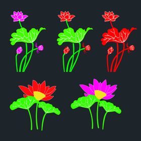 异形荷花