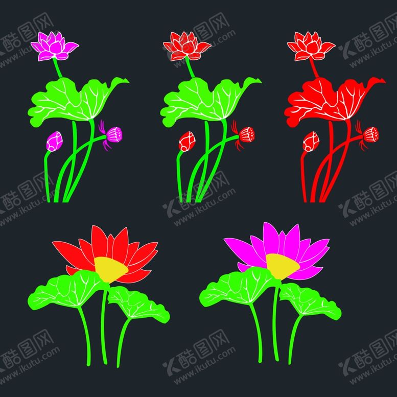 编号：99984705031618503575【酷图网】源文件下载-异形荷花