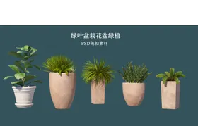 盆栽花盆绿植PSD免扣素材观赏物景摄影物后期景观树