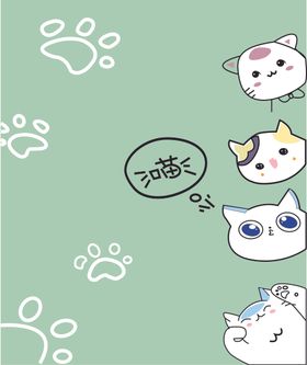 宠物猫猫