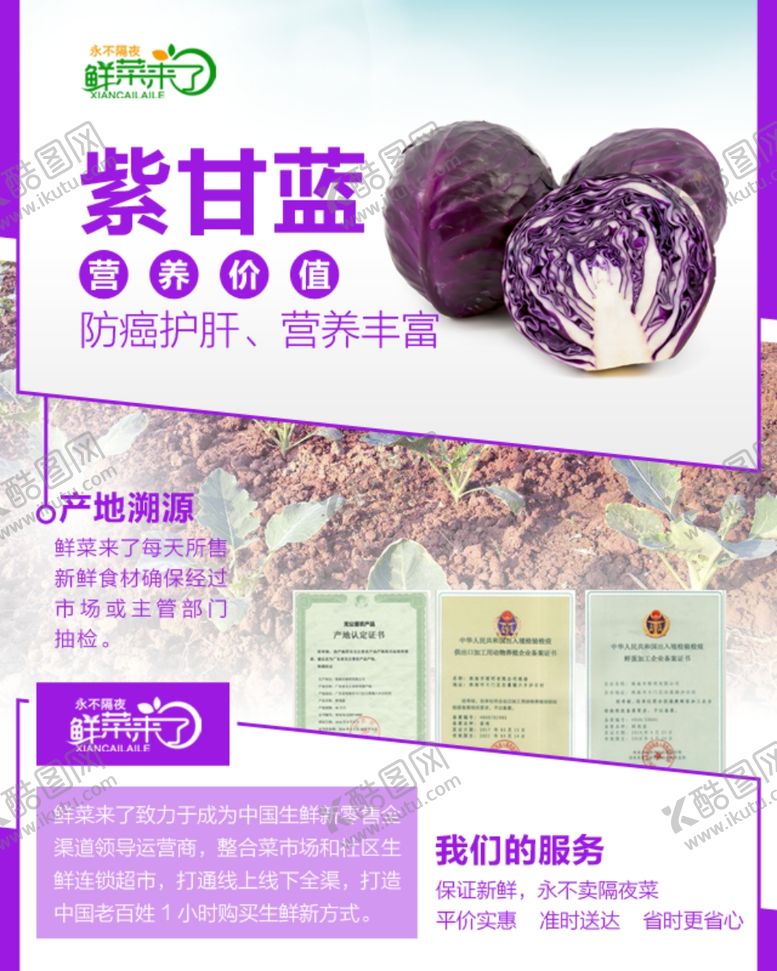 编号：10897604251120489023【酷图网】源文件下载-紫甘蓝详情页
