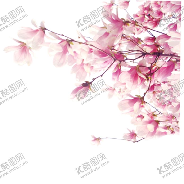 编号：63054804221854461048【酷图网】源文件下载-桃花
