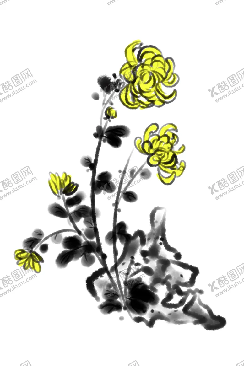 编号：27885706270209167115【酷图网】源文件下载-菊花素材