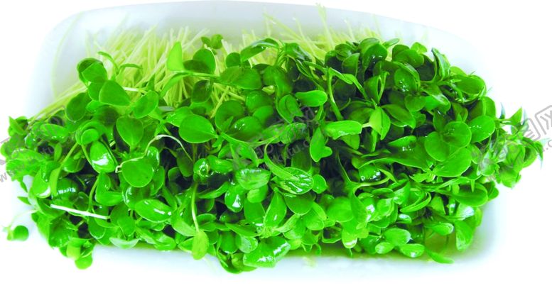 编号：23663810110958234555【酷图网】源文件下载-家常菜美食