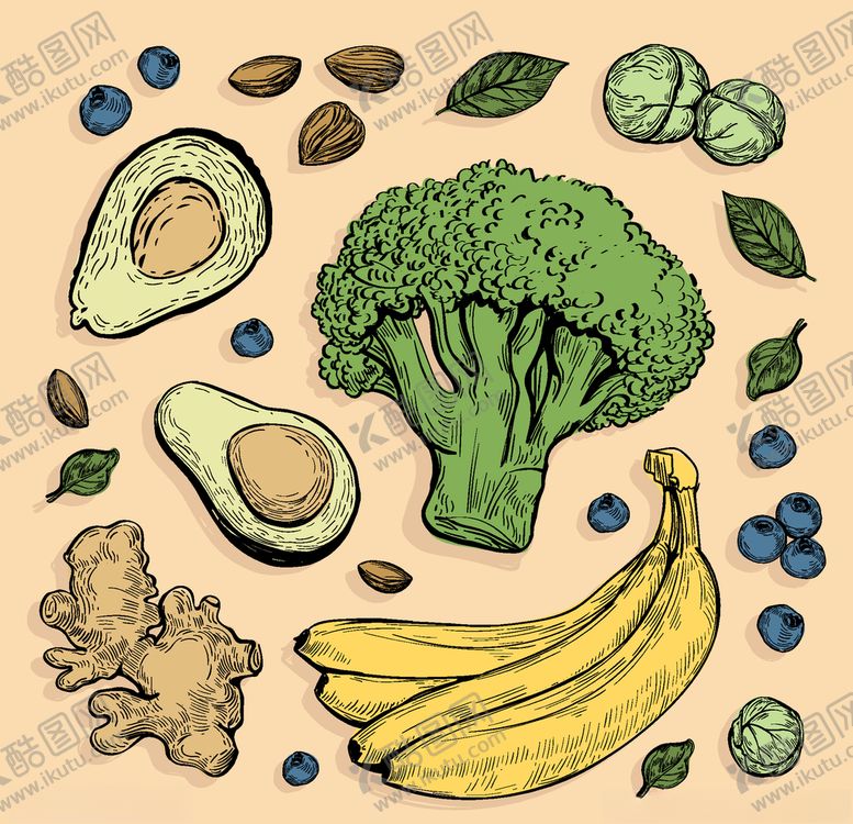 编号：11805309160352508407【酷图网】源文件下载-矢量厨房蔬菜食品素材