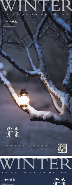 大寒小寒小雪大雪霜降立冬风景海报