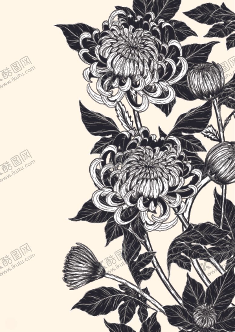 编号：45350107071005256074【酷图网】源文件下载-纯色绘画植物花朵