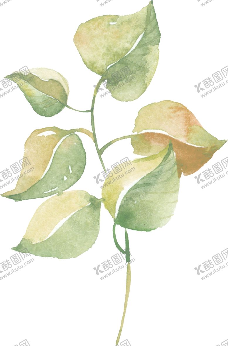 编号：67409109240929476430【酷图网】源文件下载-绿叶