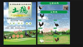乌鸡宣传单