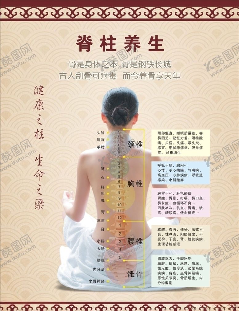 编号：38186510110644384292【酷图网】源文件下载-脊柱