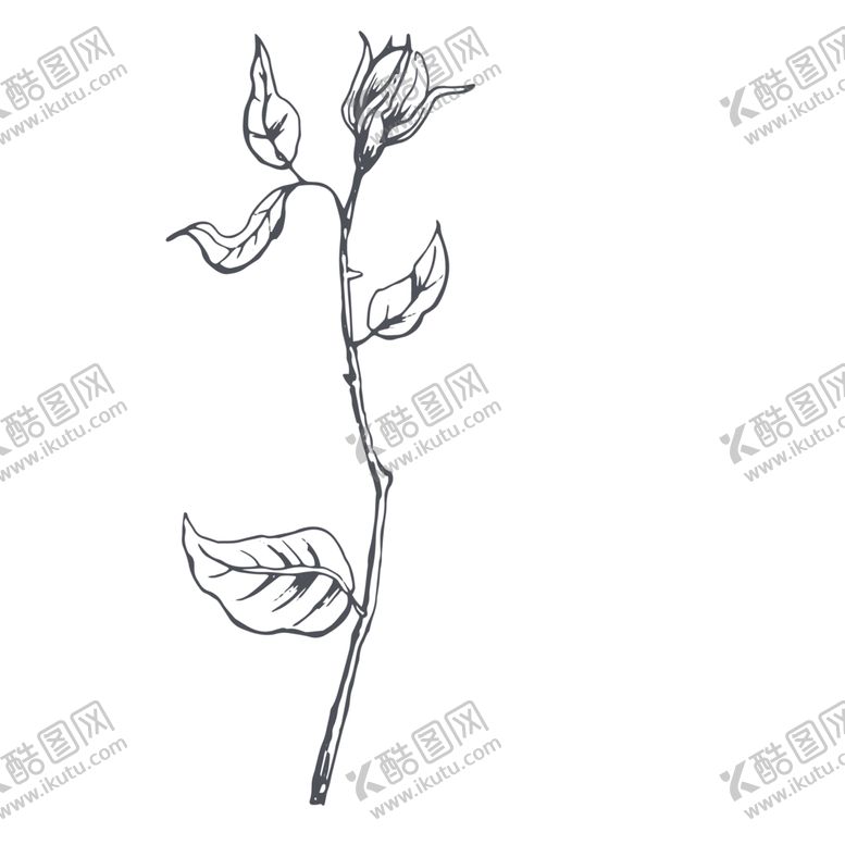 编号：37738211011259338681【酷图网】源文件下载-手绘植物