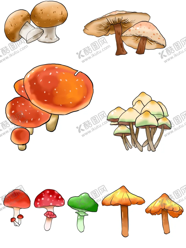 编号：29500304220410215445【酷图网】源文件下载-美味美食蘑菇