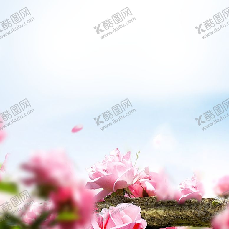 编号：23322903281713571025【酷图网】源文件下载-电商主图