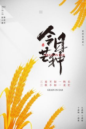 芒种海报