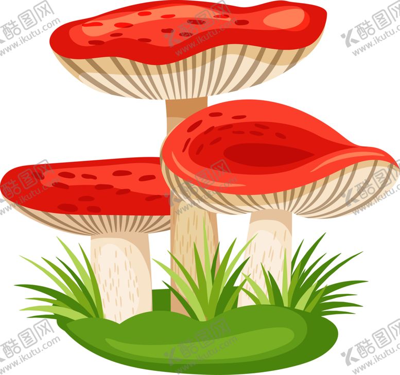 编号：86827602081945305163【酷图网】源文件下载-菌类植物