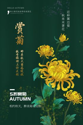 赏菊花朵传统国风海报素材