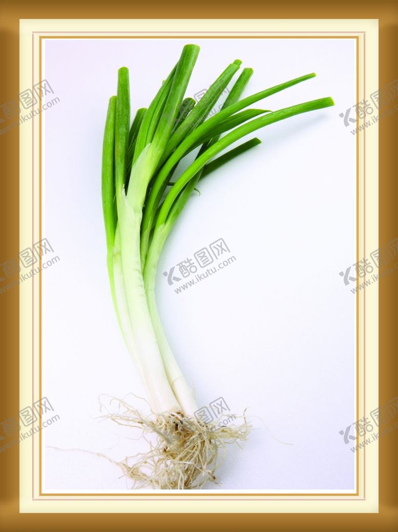 编号：30170910081354148298【酷图网】源文件下载-艺术生活装饰画