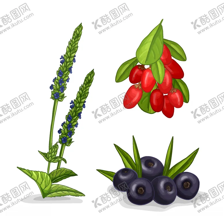 编号：93981006271525341294【酷图网】源文件下载-矢量厨房蔬菜食品素材