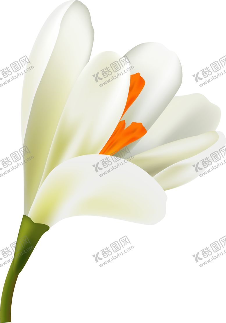 编号：55339601281032137957【酷图网】源文件下载-卡通花免抠图