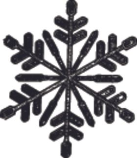 黑白手绘雪花