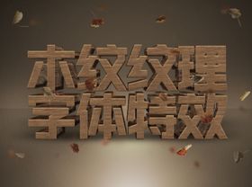 立体字样机