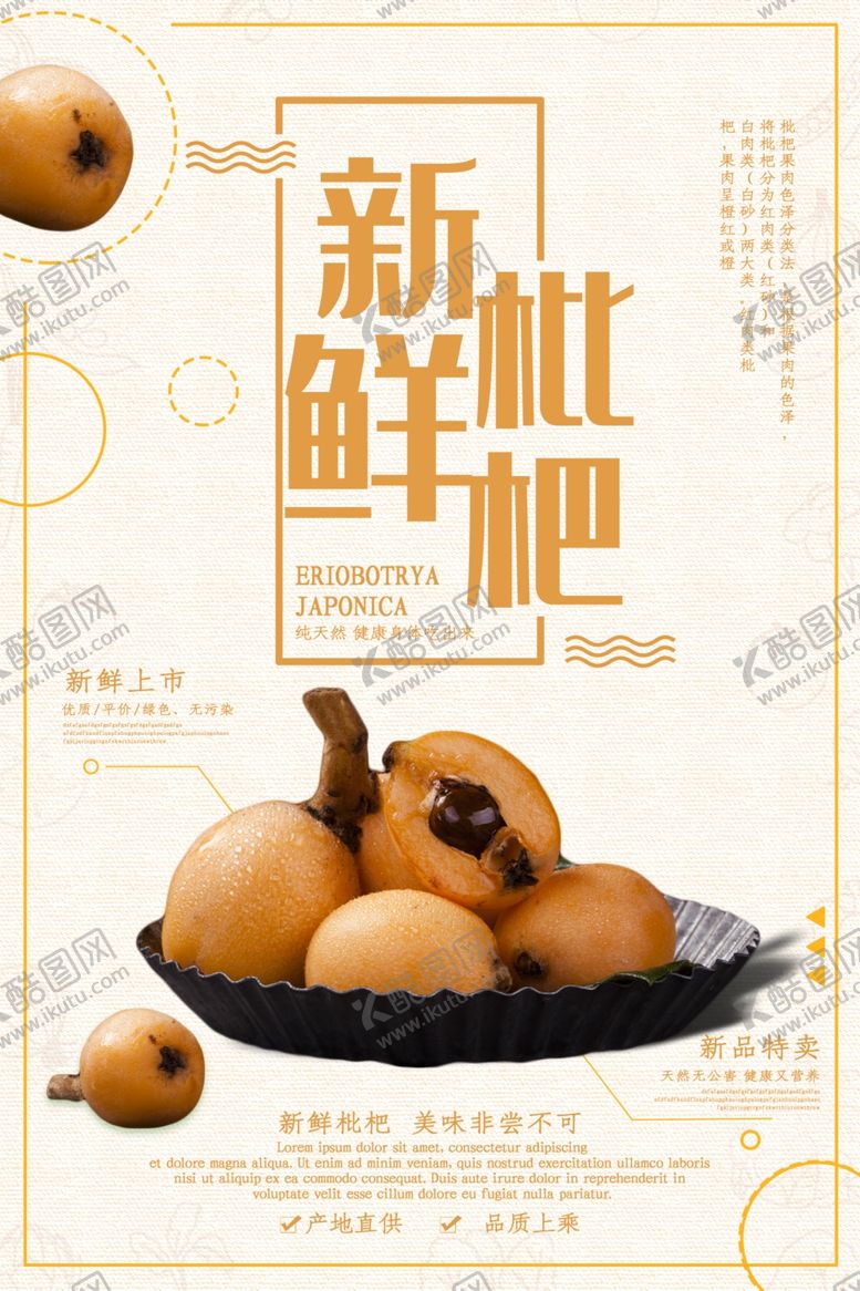 编号：68621610230512299990【酷图网】源文件下载-新鲜枇杷