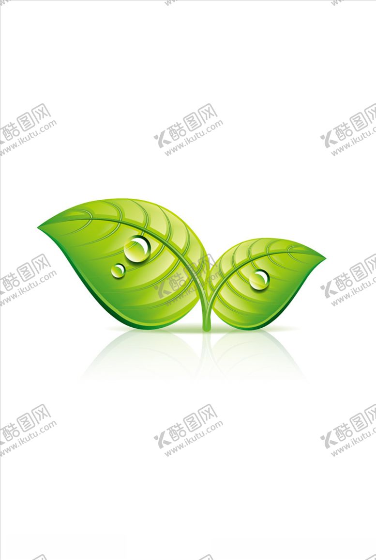 编号：58438007022112352970【酷图网】源文件下载-树叶