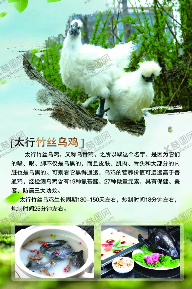 编号：40903604191643042939【酷图网】源文件下载-太行竹丝乌鸡