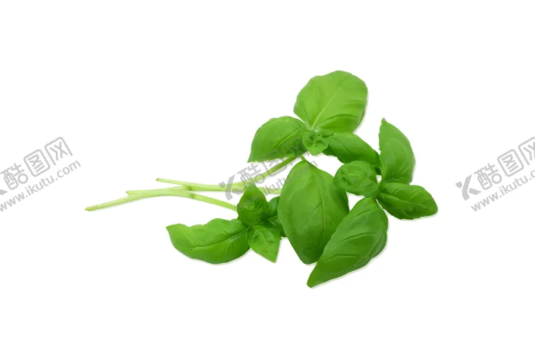 编号：12354007011341353780【酷图网】源文件下载-草本植物药材