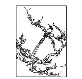 梅花绶事