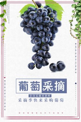 突破采摘