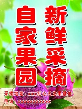 火龙果采摘海报