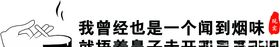 文字个性车贴