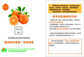 橙子贺卡水果箱宣传单水果手卡