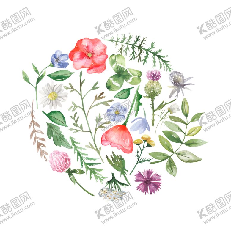 编号：24024306191218441582【酷图网】源文件下载-水彩植物花朵装饰