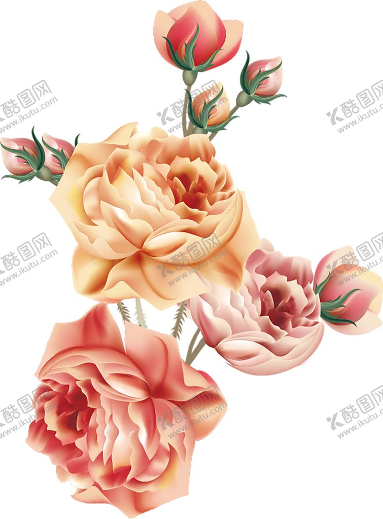 编号：92603709242235378717【酷图网】源文件下载-鲜花素材