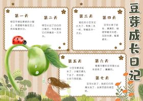 豆芽成长日记