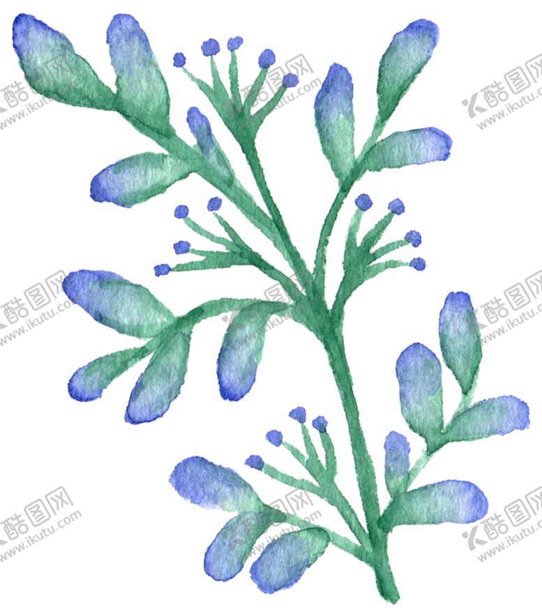 编号：80136606301429377573【酷图网】源文件下载-手绘植物
