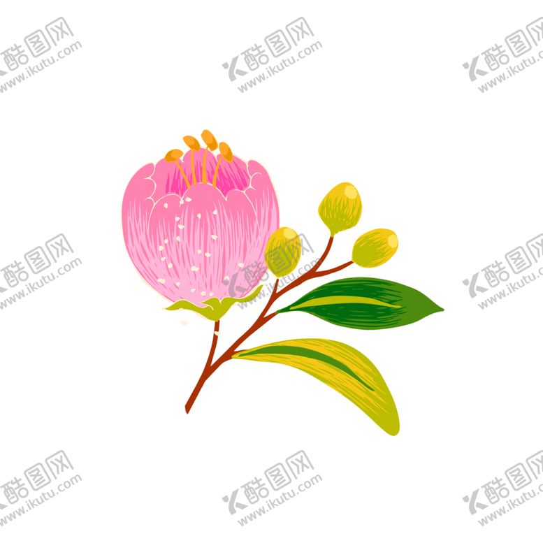 编号：75947705160456182854【酷图网】源文件下载-鲜花装饰