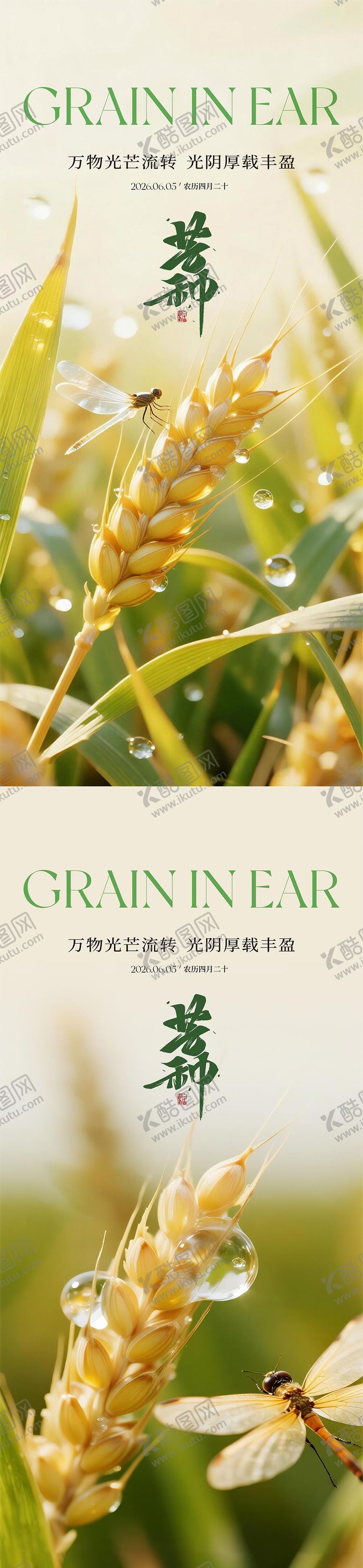 编号：15513205302356032440【酷图网】源文件下载-芒种节气系列海报